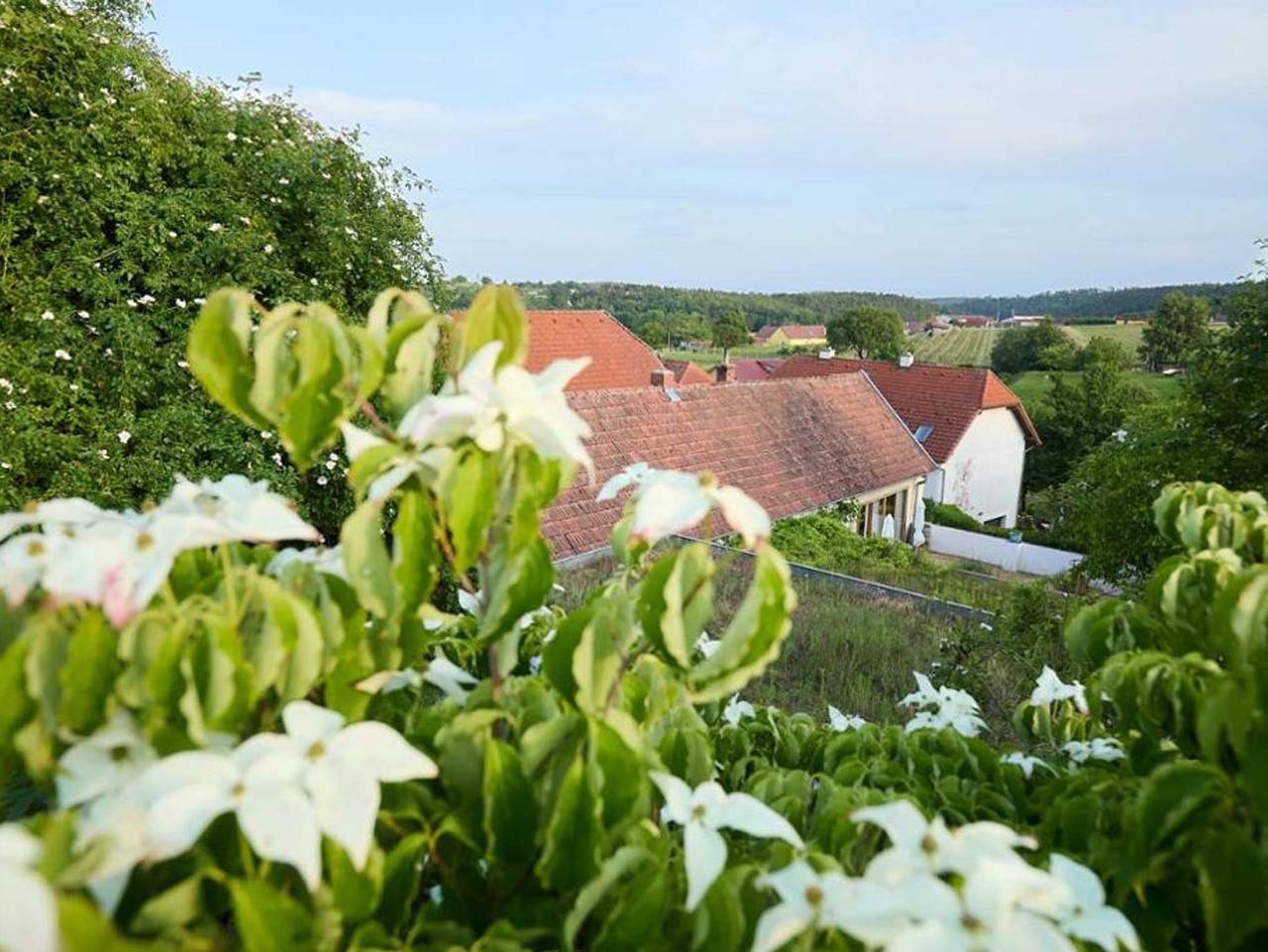 Biogarten-Ferienhaus Kamptal (140m2) - Ferienhaus mit Ausblick in Schiltern, Langenlois