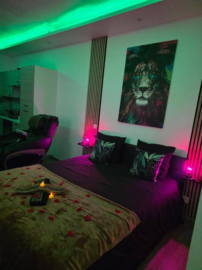 Gîte pour 2 personnes, avec jacuzzi à Lingolsheim - 3