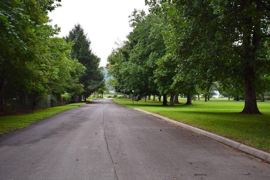 Ganze Wohnung, Riverside Condo - minutes from Gsmnp in Townsend, Blount County