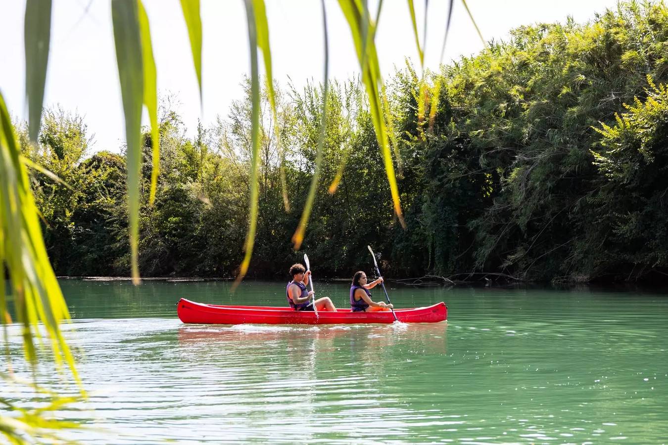 Ganze Wohnung, Caba'nature 3 Zimmer 5 Personen in Roquebrune-sur-Argens, Draguignan Region