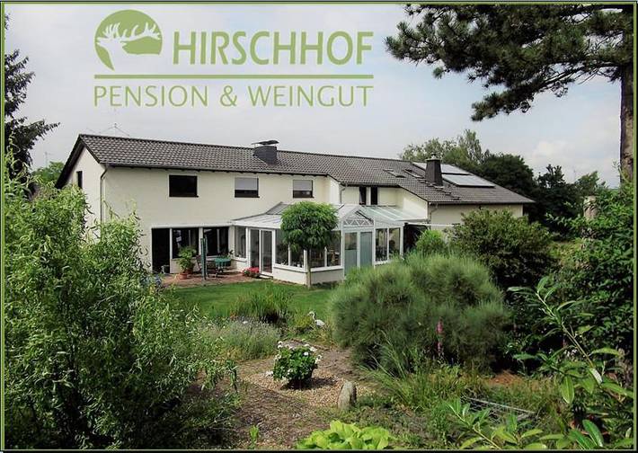 Maison d’hôte pour 3 personnes, avec vue ainsi que jardin et terrasse, animaux acceptés à Offenheim (Rhénanie-Palatinat)