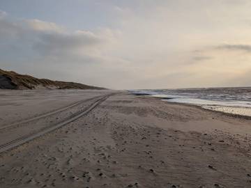 Ferienhaus für 12 Personen in Vester Husby, Ulfborg, Bild 1