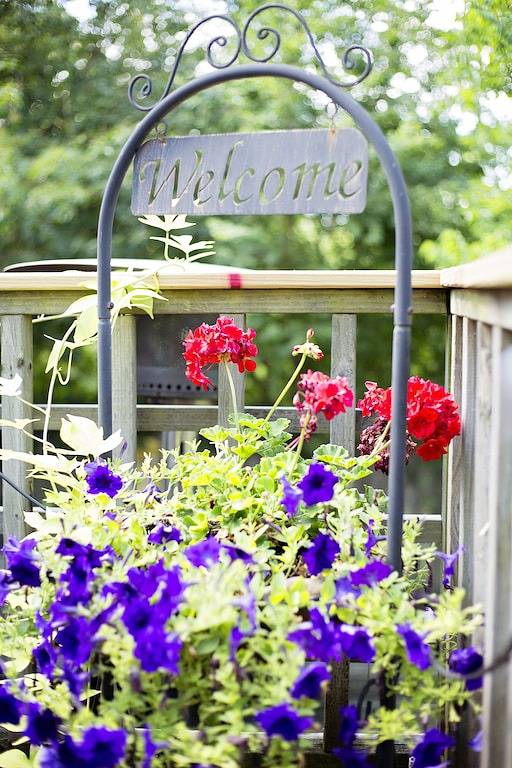 Ganze Wohnung, Malerisches Loft im Pariser Stil auf einem denkmalgeschützten Grundstück in Mena, Ouachita National Forest