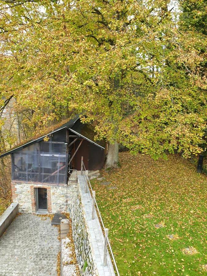 Gîte pour 2 personnes, avec terrasse et sauna ainsi que jacuzzi et jardin à Trois-Ponts - 2