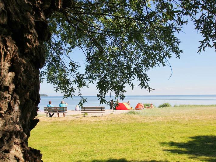 Ferienhaus für 6 Personen, mit Garten und Balkon, kinderfreundlich in Putbus - 4