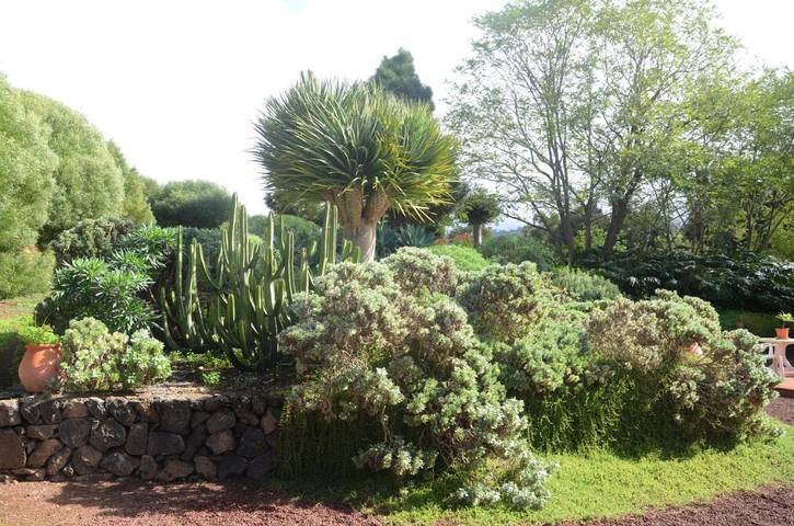 Casa rural para 10 personas, con jardín y vistas, Familias con niños en Tacoronte - 4