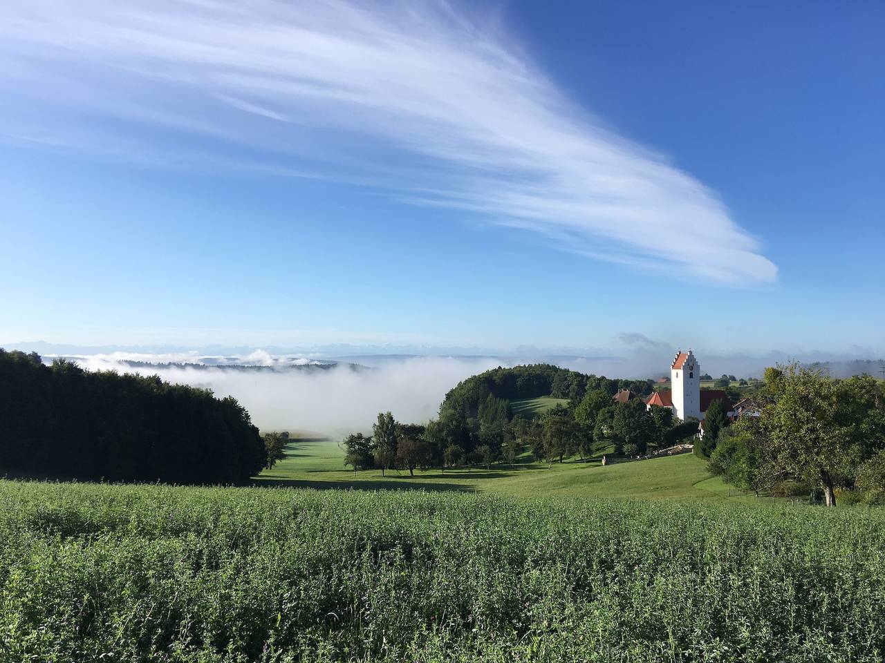 Ganze Wohnung, Apartment Natur Pur - ein Ort der Ruhe und Erholung zur jeder Jahreszeit, Ferienwohnung mit Sauna in Eigeltingen, Landkreis Konstanz