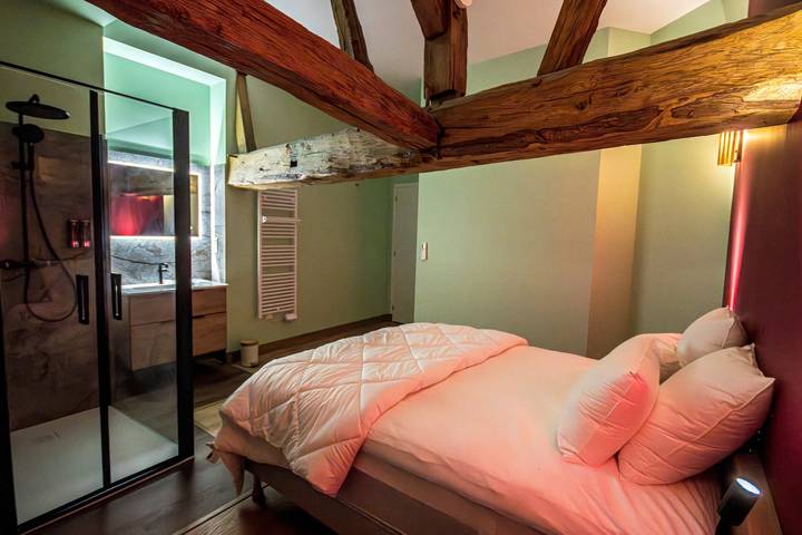 Gästezimmer „Grenier Vin 2 – Grange Arthuis“ mit Wlan und Klimaanlage in Lavau, Loire-Tal
