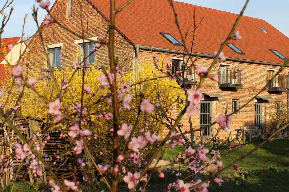 Ganze Wohnung, Ferienwohnung auf Sternenhof im Drei Burgenland Hoher Fläming in Bad Belzig, Fläming