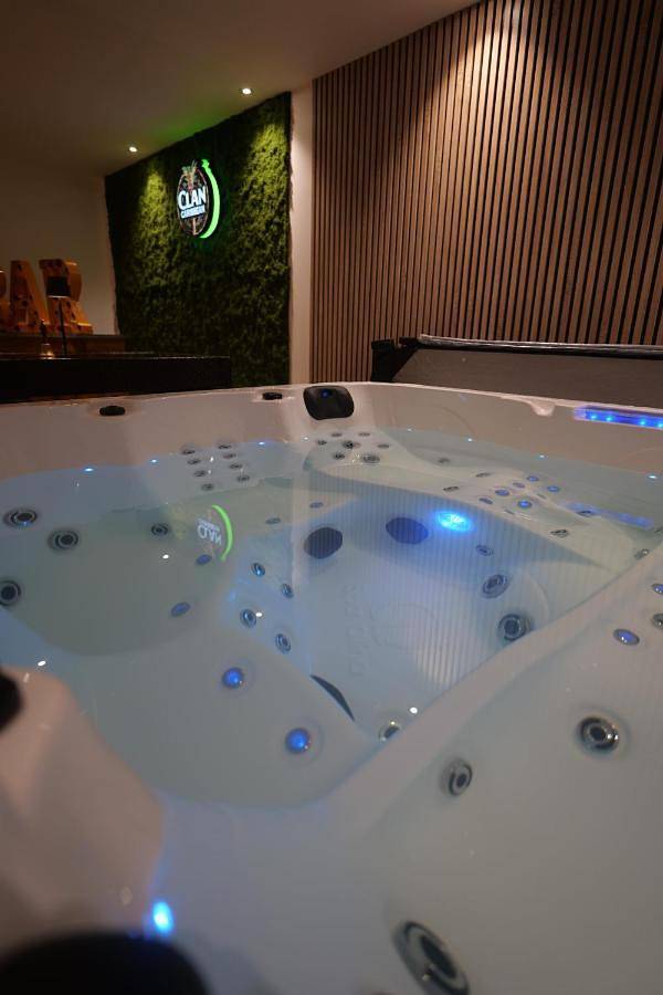 Location de vacances pour 10 personnes, avec jardin et jacuzzi à Mourvilles-Hautes - 2