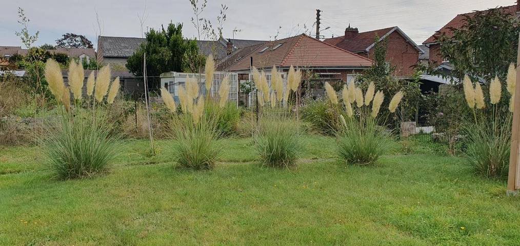 Location de vacances pour 6 personnes, avec jardin et vue à Amiens - 3