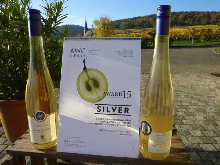 Ferienwohnung für 4 Personen, mit Balkon, kinderfreundlich in Schweigen-Rechtenbach - 4