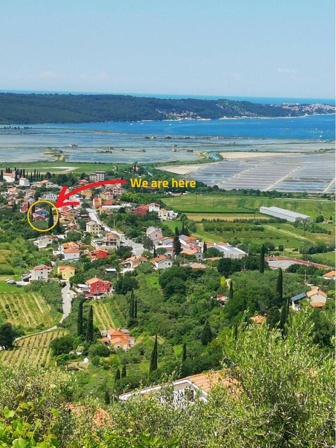 Maison d’hôte pour 2 personnes, avec jardin à Piran - 2