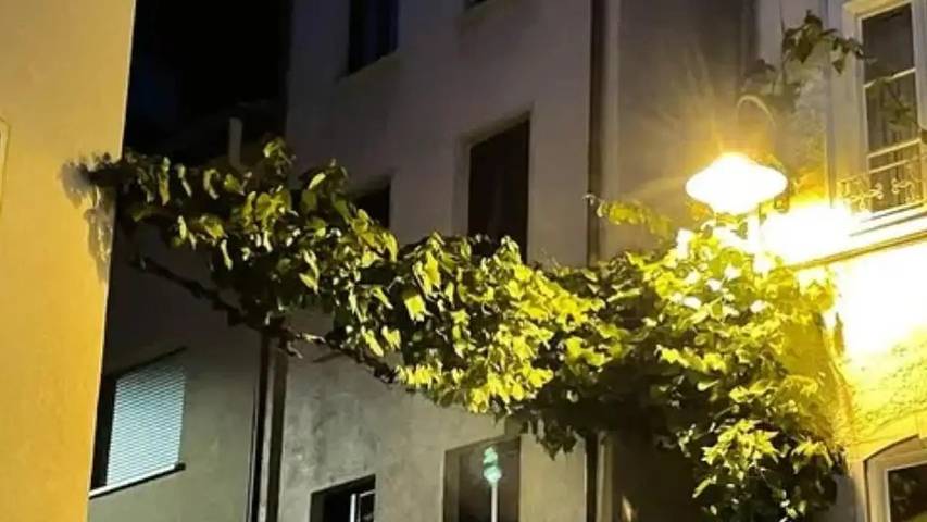 Ferienwohnung für 3 Personen in Zell (Mosel) - 3