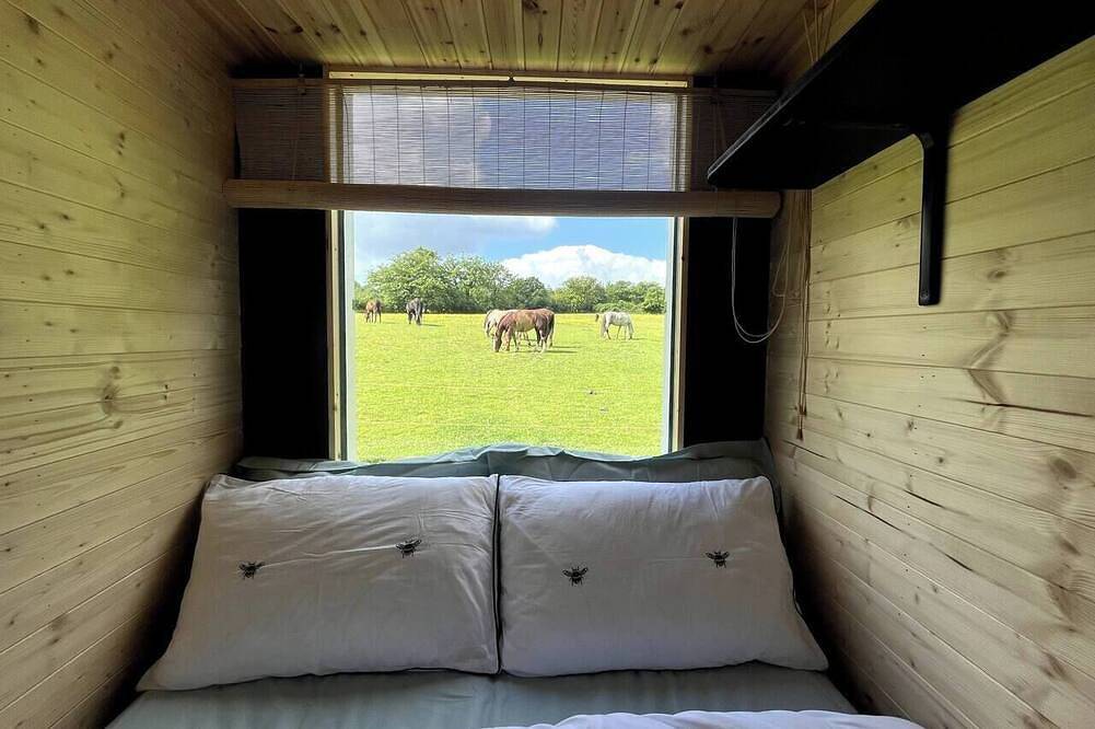 The Horse Trailer - Farm Stay in Shepshed, Heart of England