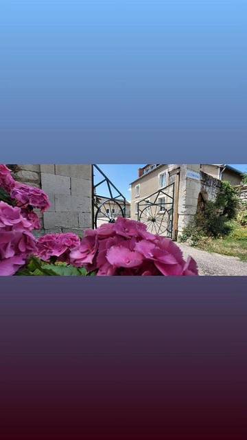 Gîte pour 12 personnes, avec jardin et jacuzzi, adapté aux familles à Antran