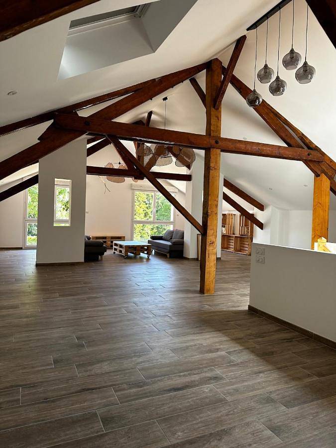 Location de vacances pour 15 personnes, avec piscine et terrasse, animaux acceptés à Cazes-Mondenard - 3