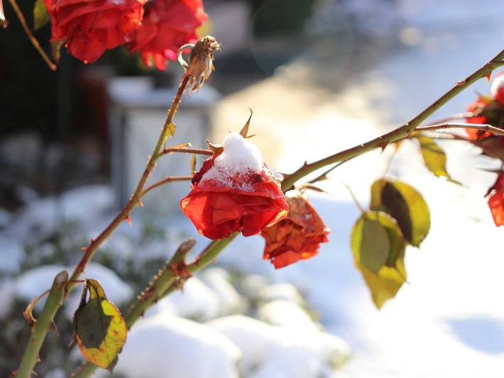 Ferienhaus für 3 Personen, mit Terrasse und Garten, kinderfreundlich in der Fränkische Schweiz - 3