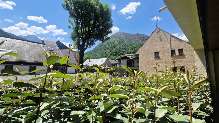 Gîte pour 4 personnes, avec vue et balcon dans Office De Tourisme De Saint Laurent Soulan