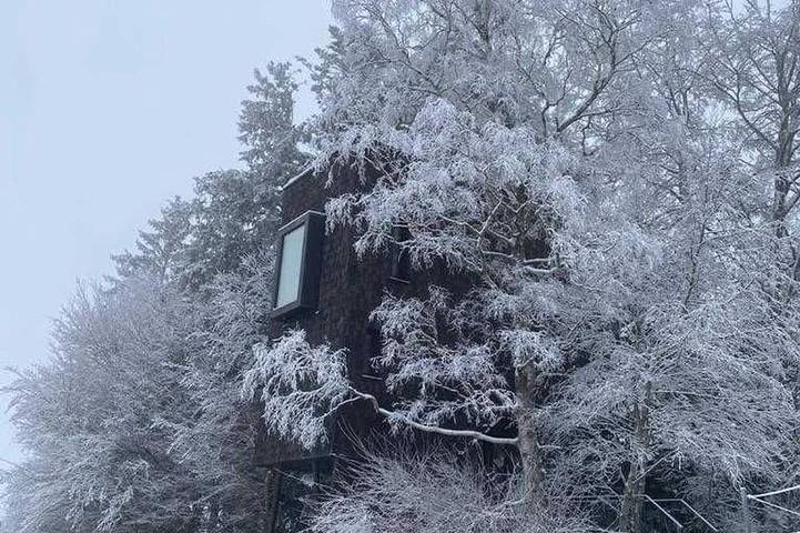 Erlebnisbaumhaus, Familie Baldauf - Baumhaus in Bregenzerwald (Vorarlberg), Sulzberg (Österreich)