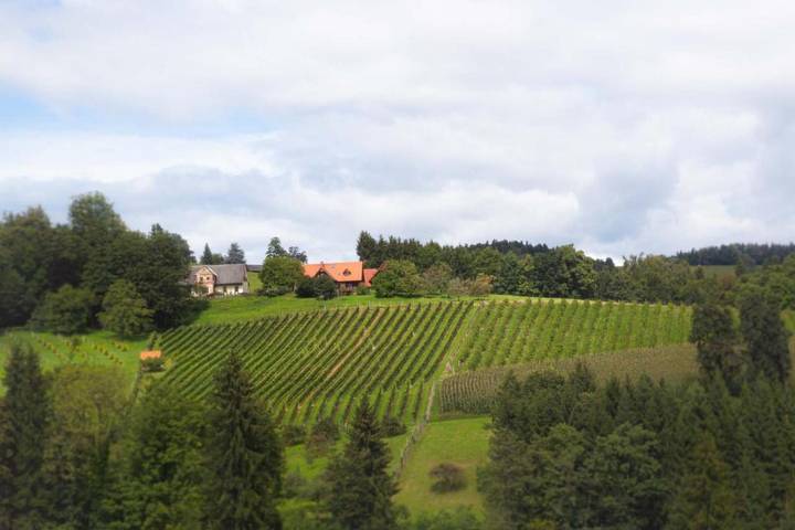 Ferienhaus für 10 Personen, mit Balkon und Whirlpool sowie Terrasse und Garten in Weststeiermark - 3