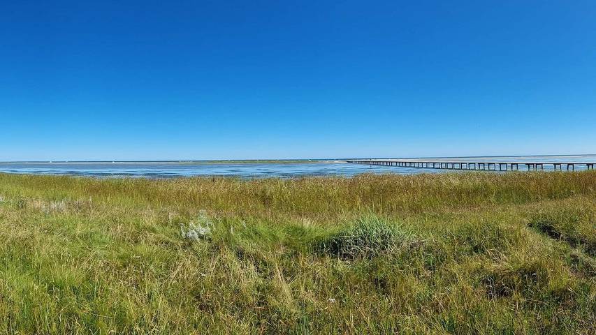 Ferienhaus für 5 Personen, mit Terrasse, mit Haustier in Dänemark - 4