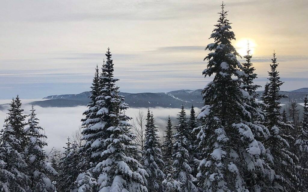 L'Escale de la Martine - Intimacy, Spa and woodland in Le Massif