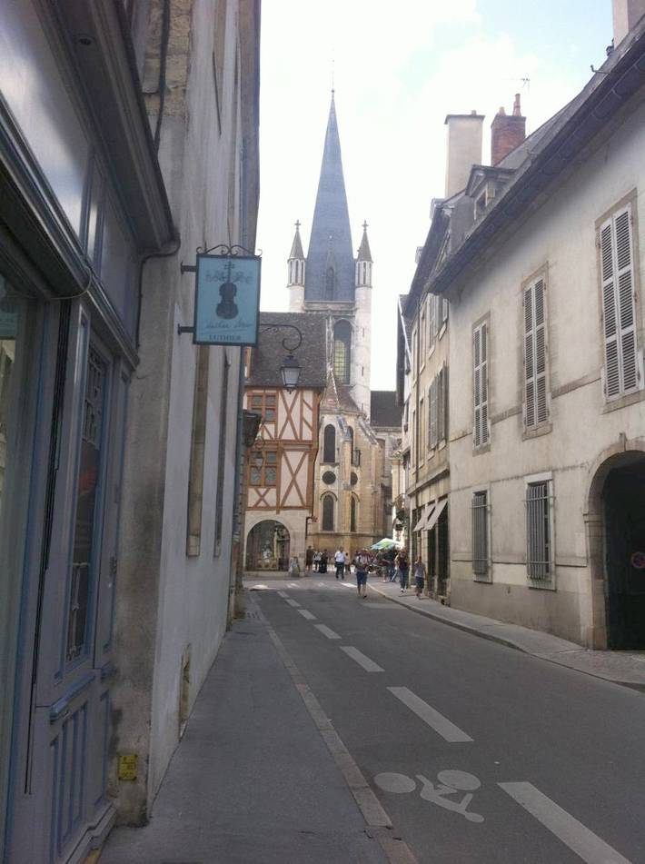 Gîte pour 15 personnes, avec vue dans Office De Tourisme De Dijon