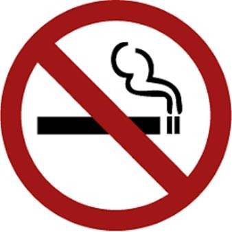 Chambre d’hôte pour 2 personnes, avec terrasse à Fontvieille - 4