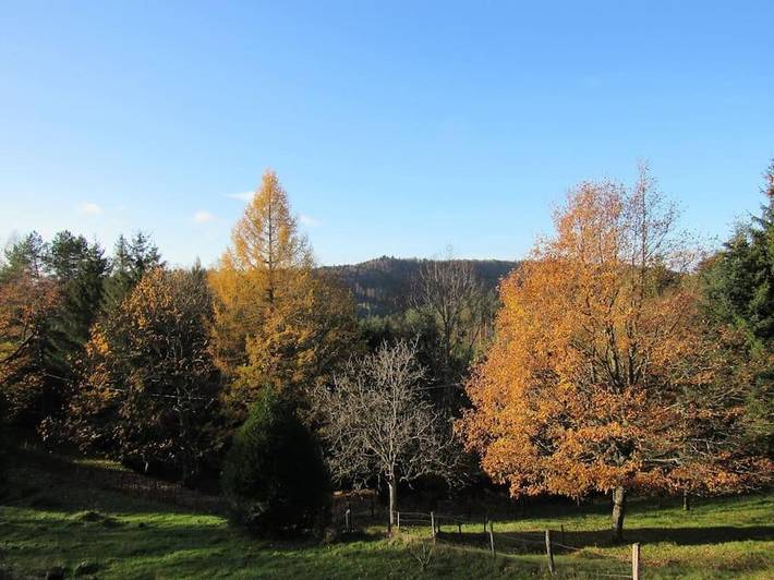 Gîte pour 6 personnes, avec jardin et vue à Dabo - 3