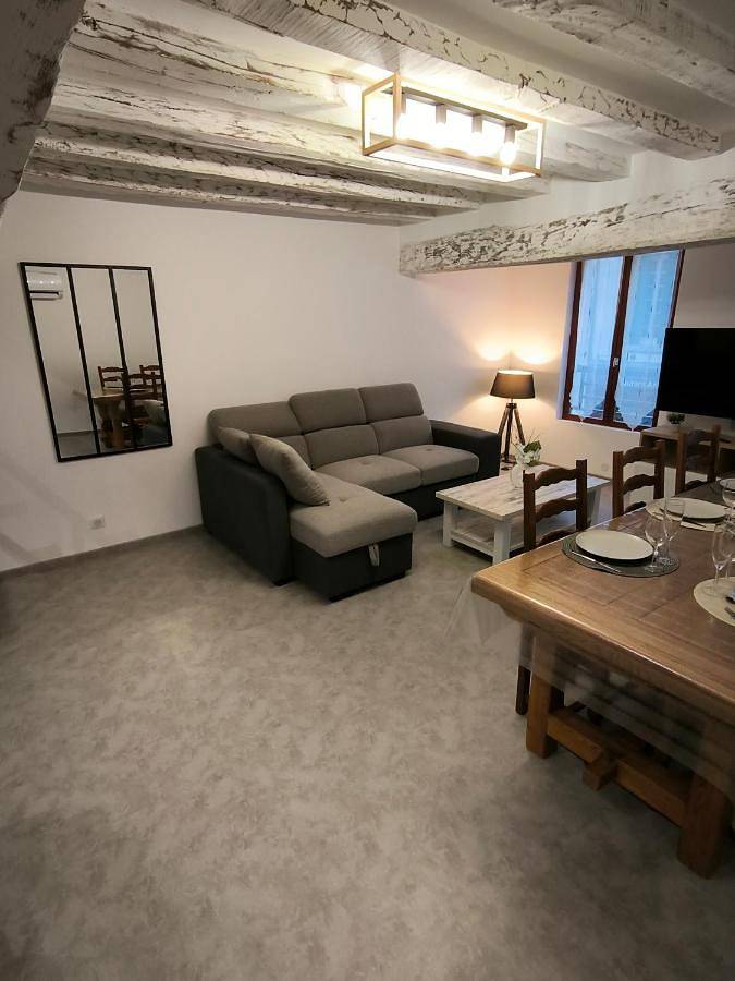 Appartement entier, Appartement 6-8 personnes, gîte, climatisé, classé 3 étoiles, proche du zoo de Beauval et des châteaux de la Loire in Selles-sur-Cher, Région de Romorantin-Lanthenay