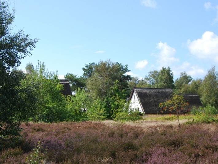 Ferienhaus für 4 Personen, mit Terrasse auf Hiddensee - 4