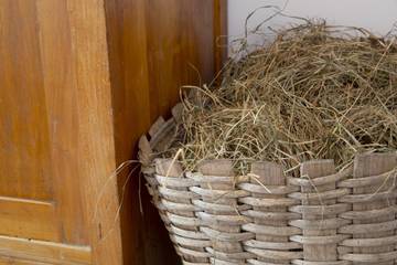 Glamping per 2 Persone in Castello Tesino, Valsugana, Foto 4