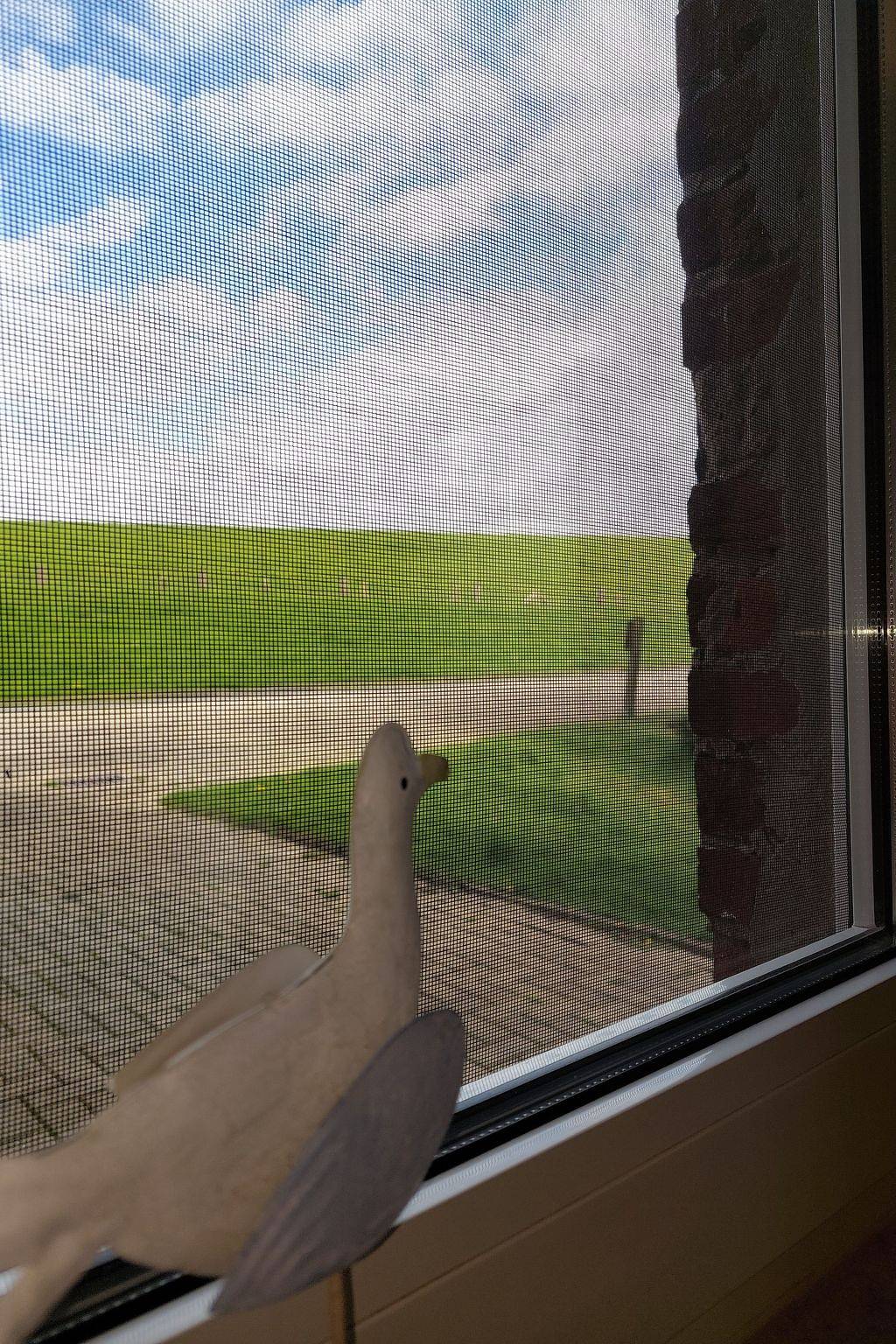 Apartamento entero, Wattwurm in Fedderwardersiel in Fedderwardersiel, Butjadingen