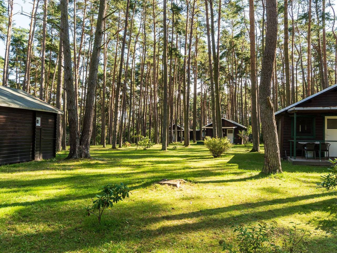 Urlaub im Bungalow - mitten im Wald - Bungalow Nr. 17 in Lütow, Usedomer Norden