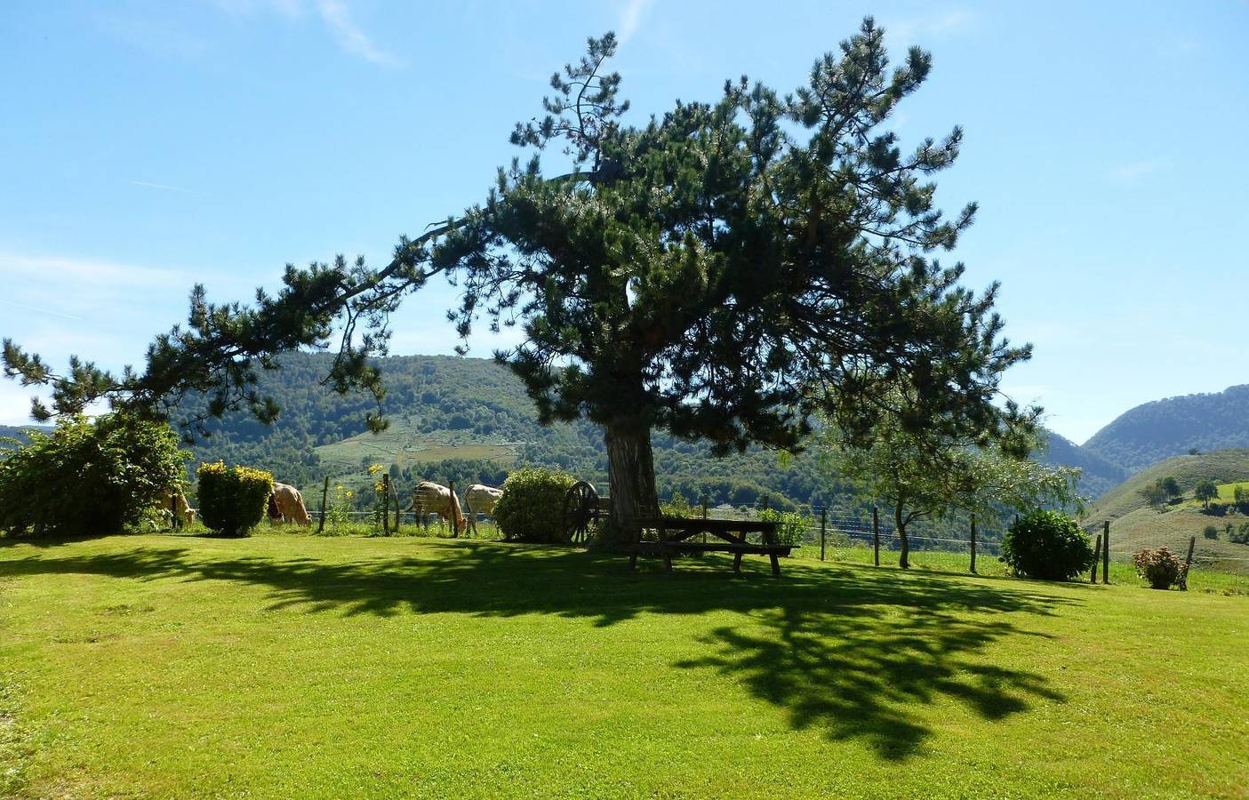 Chez Escarain in Arette, Béarn