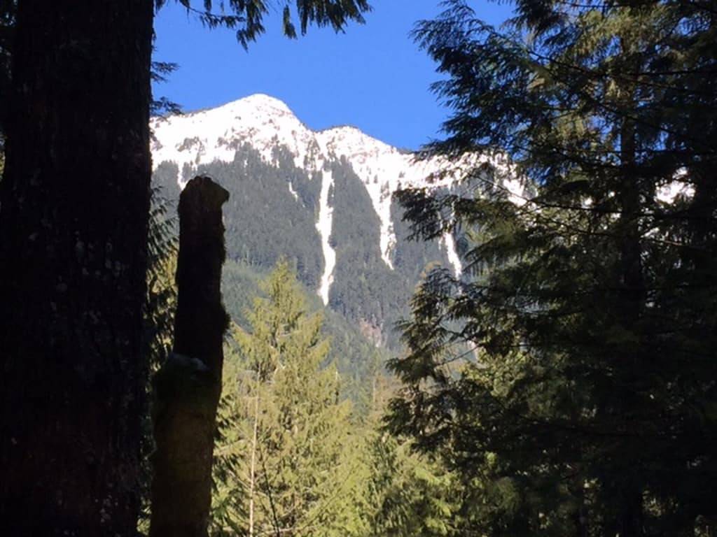 Snowline Community, nächstgelegene Unterkunft zu Mt. Bäcker in Glacier, Mount Baker-Snoqualmie Nationalwald