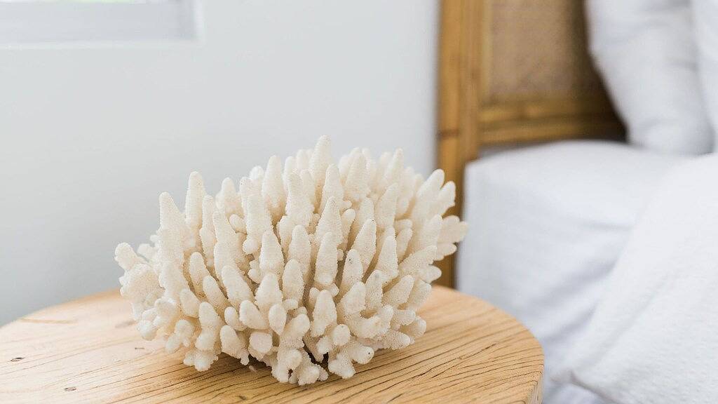 Das ultimative Noosa Beach House - Pool, 5 Schlafzimmer, Privatsphäre und ruhige Lage. in Noosa Heads, Noosa