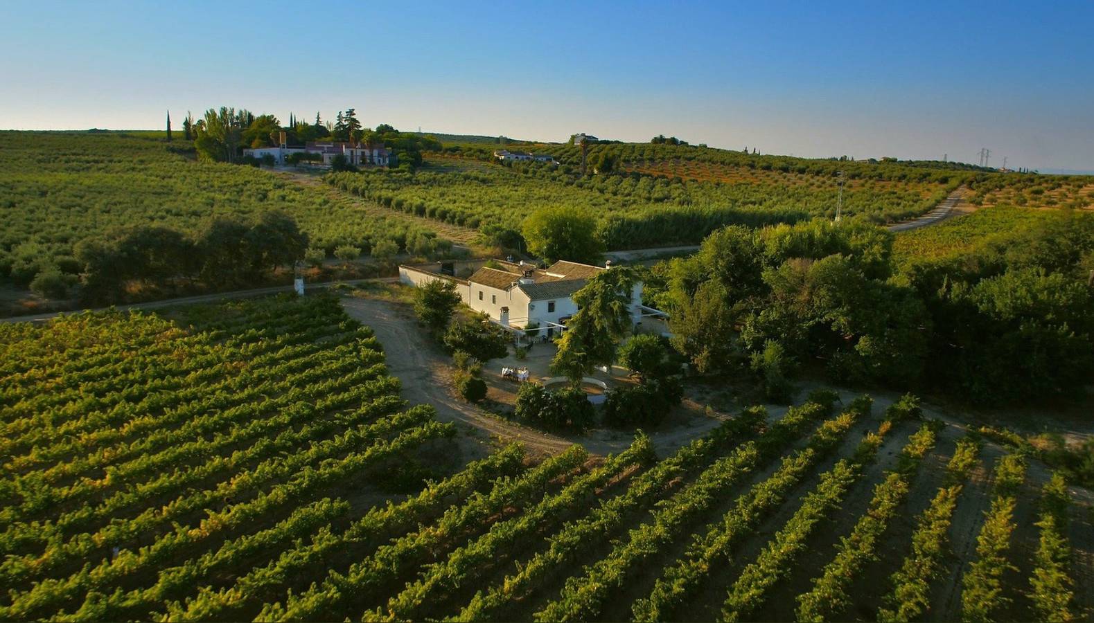 Villa élégante au cœur de Montilla avec piscine privée in Montilla, Province de Córdoba