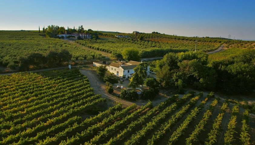 Villa pour 16 personnes, avec piscine - 1