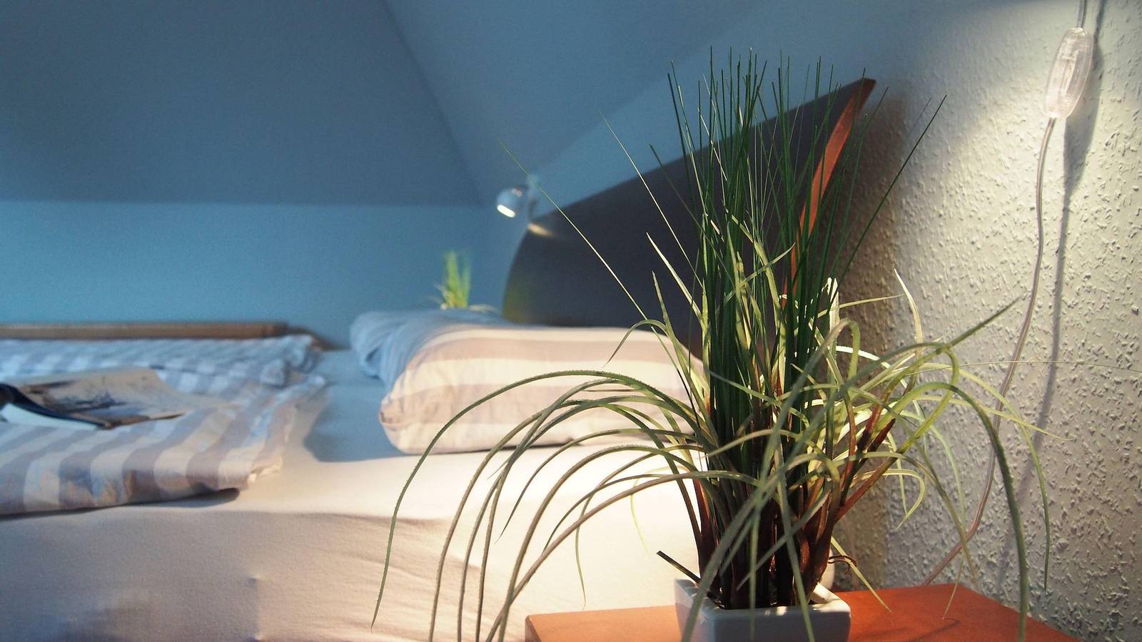 Ganze Ferienwohnung, Haus Halli Een in St. Peter-Ording, Eiderstedt
