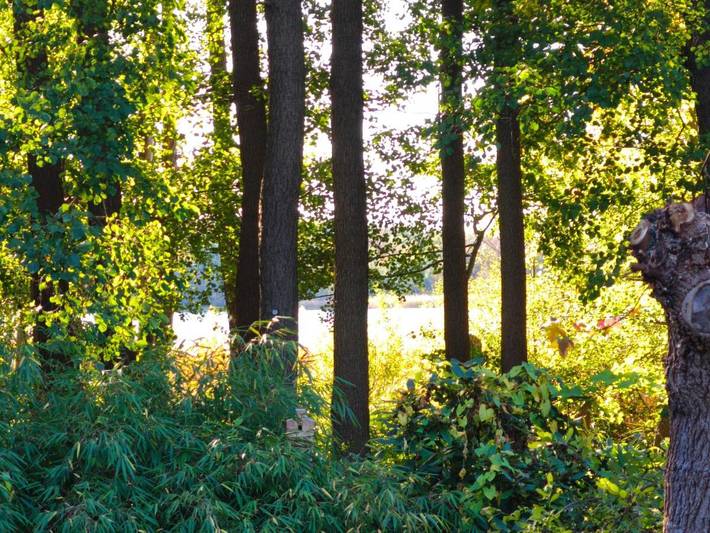 Ferienwohnung für 4 Personen, mit Garten und Seeblick sowie Ausblick und Sauna, kinderfreundlich in Werder - 4