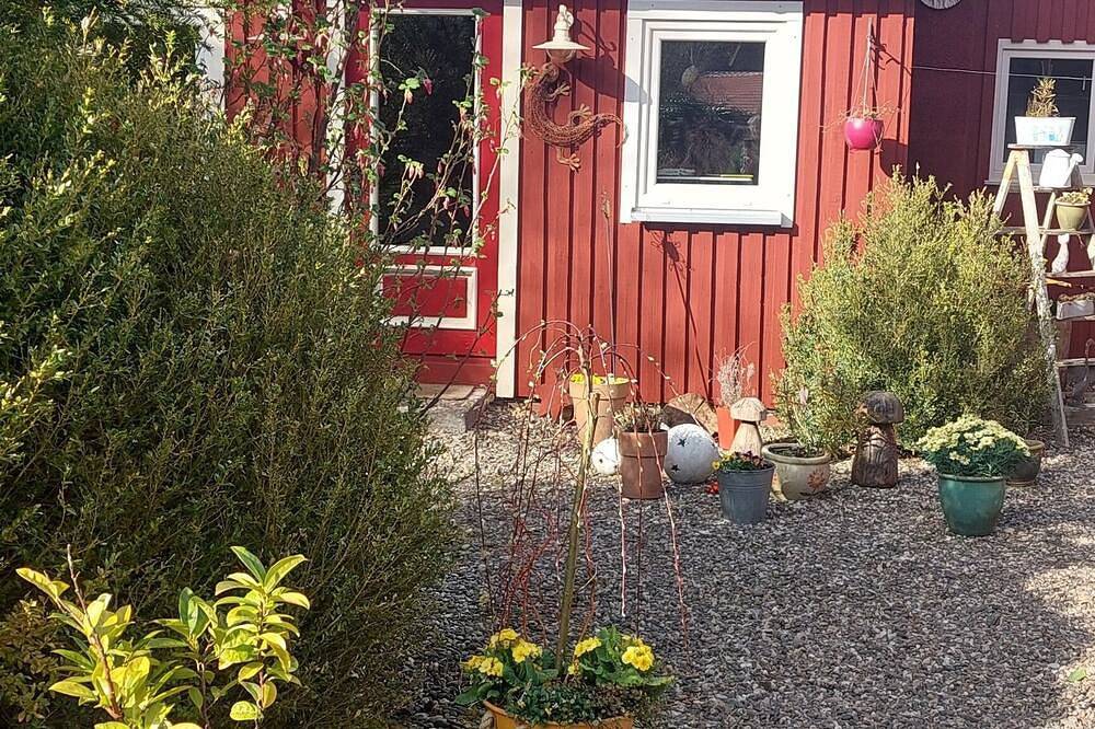 Hauptbild