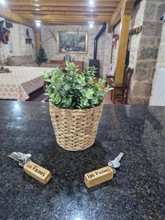 Casa de vacaciones para 18 personas, con terraza y piscina en Provincia de Burgos - 3