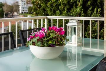 Apartment in Alcúdia, Mallorca Norden für 4 