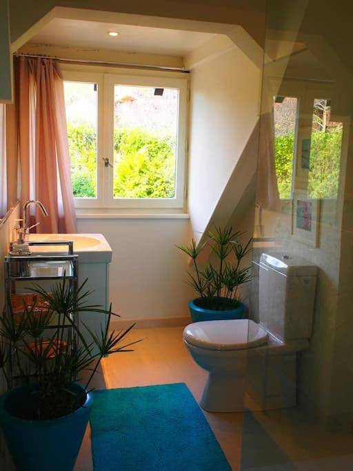 Location de vacances pour 8 personnes, avec jardin et sauna ainsi que vue et piscine à Marignier - 4