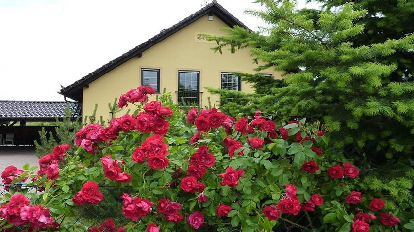 Ferienhaus für 4 Personen, mit Garten, mit Haustier in Neuruppin - 4