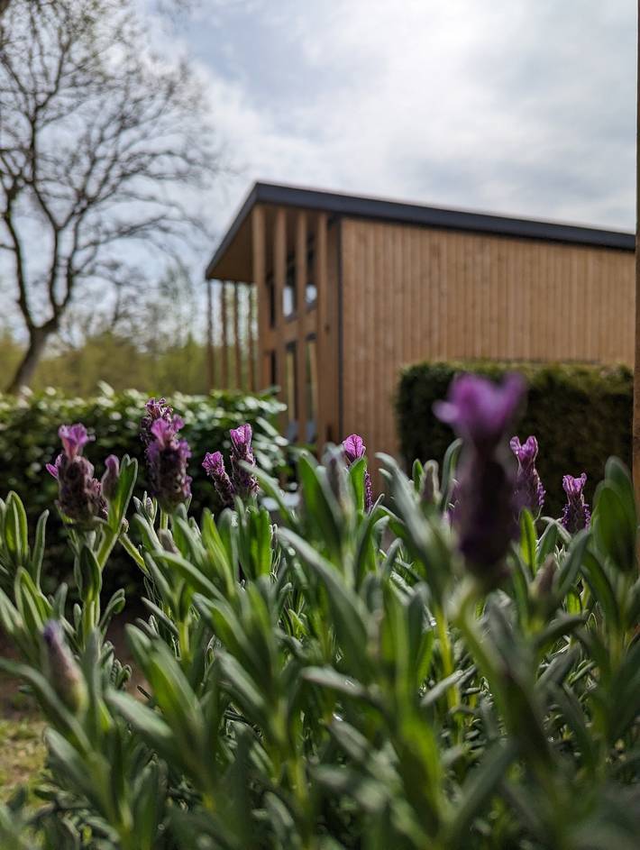Ferienhaus für 6 Personen, mit Garten und Terrasse, mit Haustier in Papenburg - 2