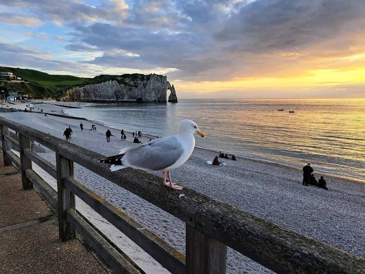 Appartement de vacances pour 5 personnes, avec jardin