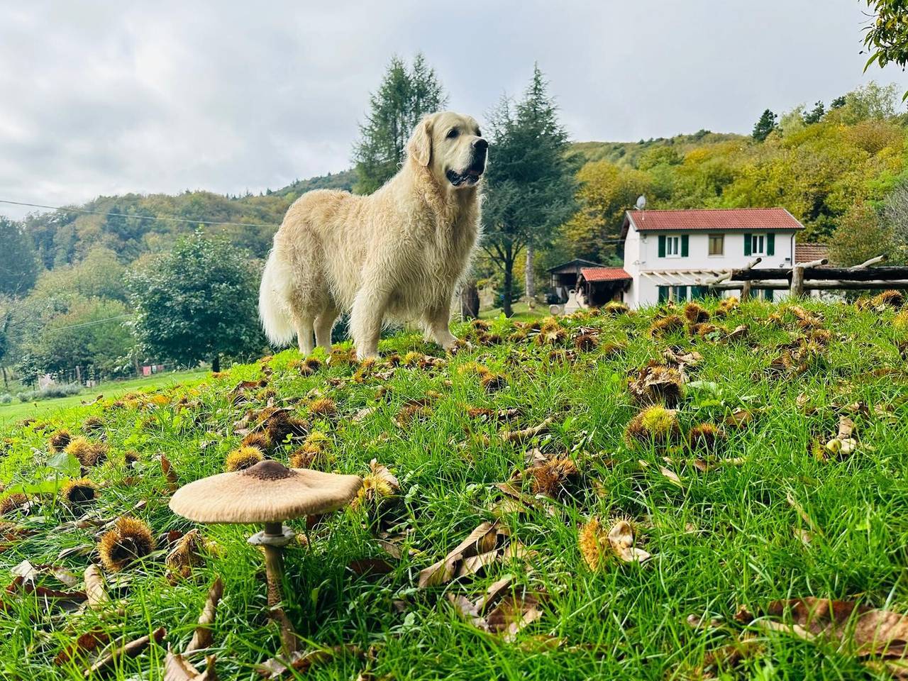 Casa vacanze 'La Rosa sul Lago' adatta agli animali domestici, con giardino privato, spa e Wi-Fi in Osiglia, Alpi Liguri